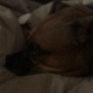 Meet your Posher, Brenda